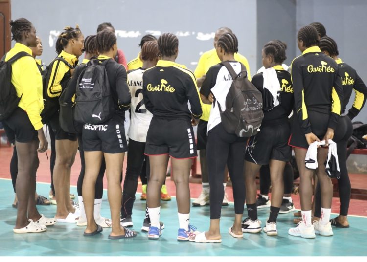 Handball : 14 joueuses convoquées pour la phase intercontinentale de l’IHF