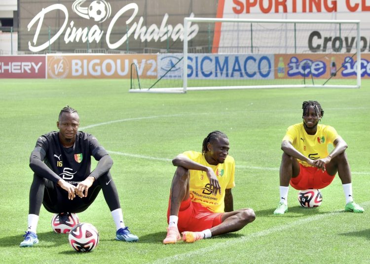 Qualif Mondial 2026 : deux derniers tests pour le Syli National face à la Somalie et à l’Algérie (dates et lieux)